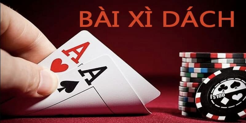Xì dách Xì dách vào tìm hiểu chi tiết